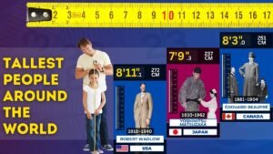Read more about the article Tallest People in the World Height Comparison