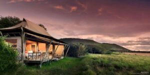 Read more about the article Luxury Safari Adventures with Exclusive Birding Tours in the Masai Mara