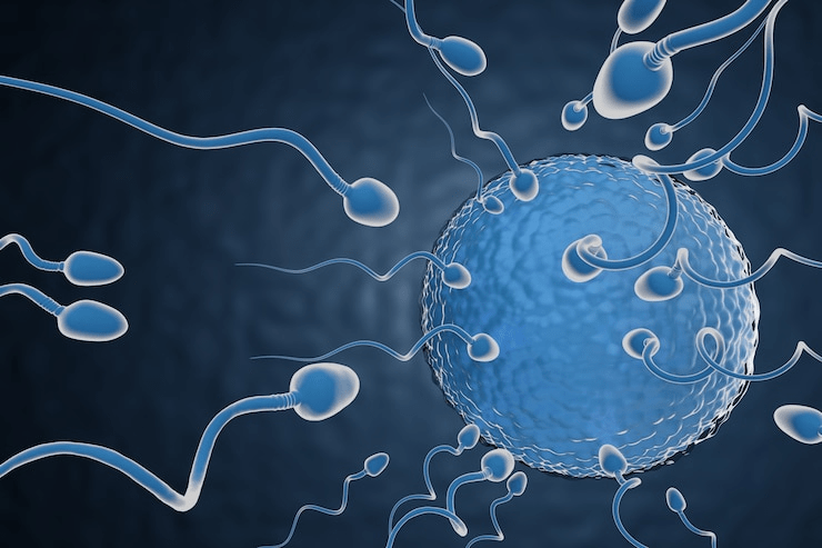You are currently viewing How to Find the Right IVF Specialist in Meerut
